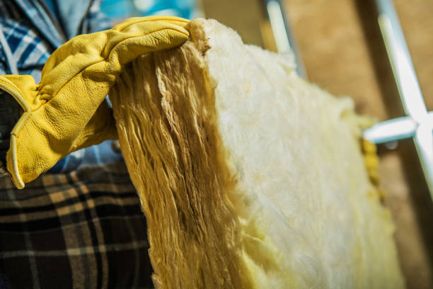 Best Insulation Repair Services  in Bayard, NM
