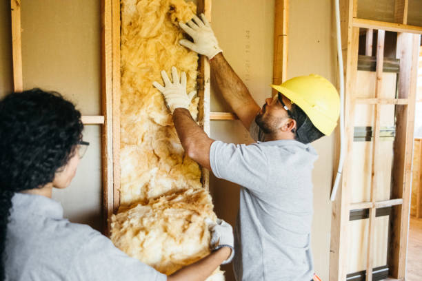 Best Attic Insulation Installation  in Bayard, NM