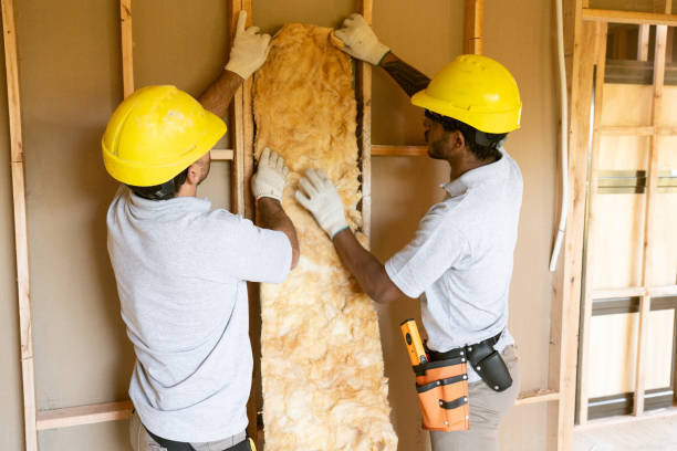 Best Attic Insulation Near Me  in Bayard, NM