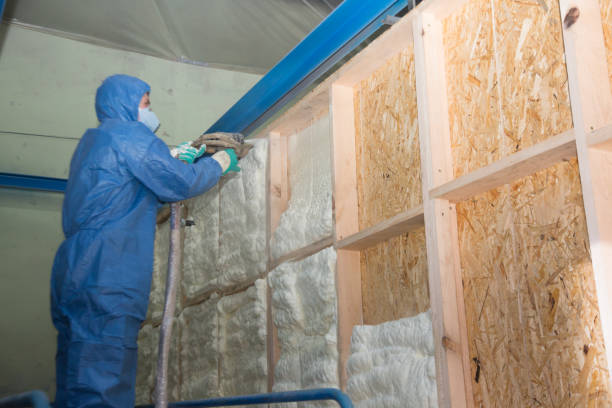 Best Soundproof Insulation Installation  in Bayard, NM